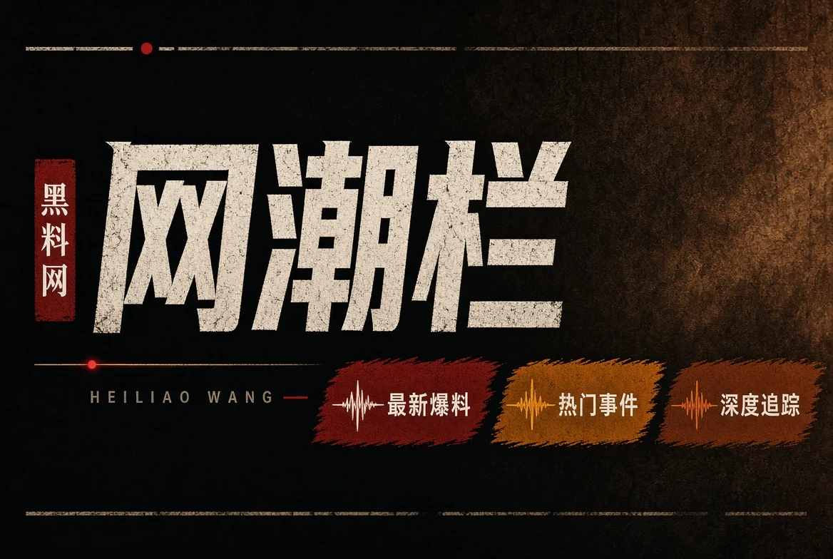 网浪栏视觉